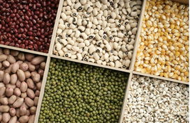 深耕谷物销售 企业供求平台助力产业链协同发展