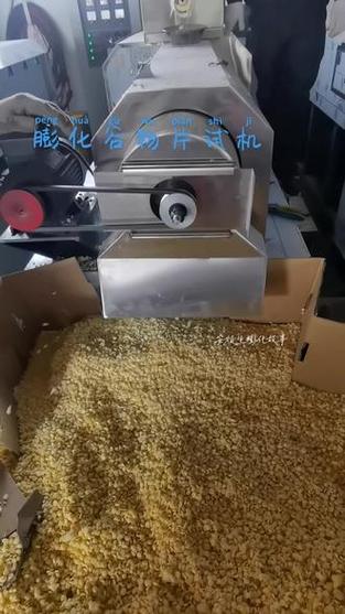 膨化谷物杂粮片加工机器!