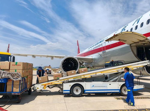 山东日照机场虾苗旺季运输工作圆满收官，运输量创历史新高